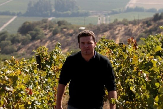 Producers - Vina Requingua - Condor Wines - independent specialist ...