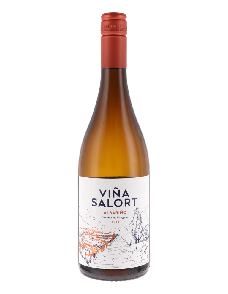 Viña Salort Reserve Albariño - Condor Wines - independent specialist ...