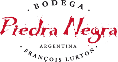 Bodega_logo