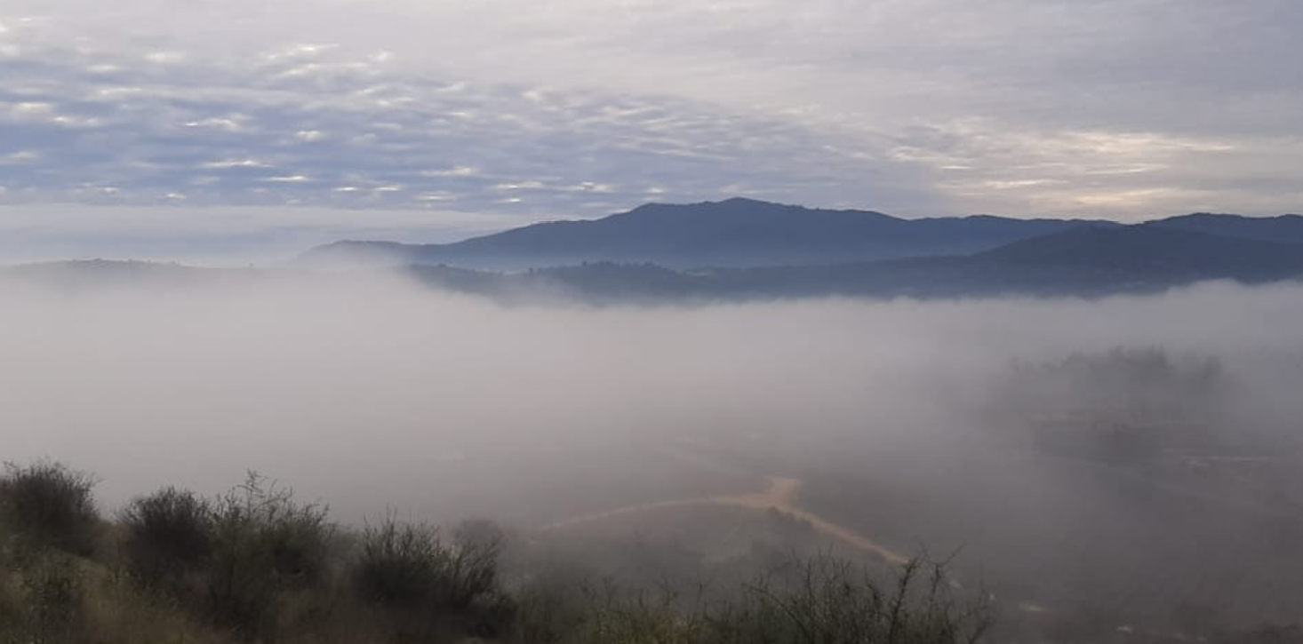 Early_morning_mist_in_Pumanque