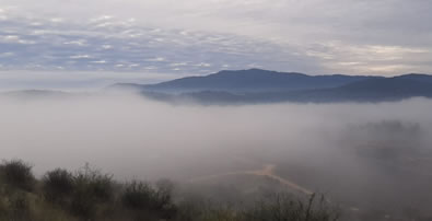 Early_morning_mist_in_Pumanque_fi