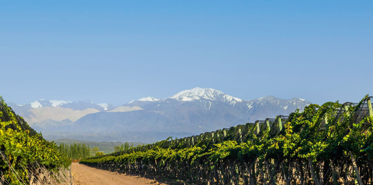 world_malbec_day_top