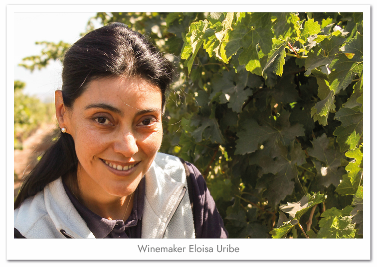 Condor_Web Producer_Image_36