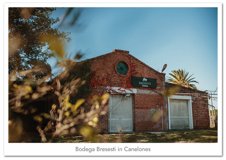 Condor_Web Producer_Image_59