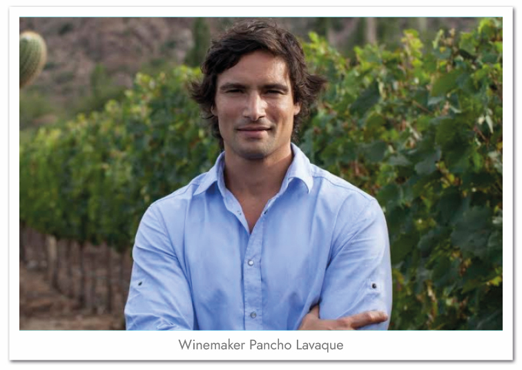 Condor_Web Producer_Image_8