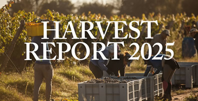 harvest_report_2025_fi