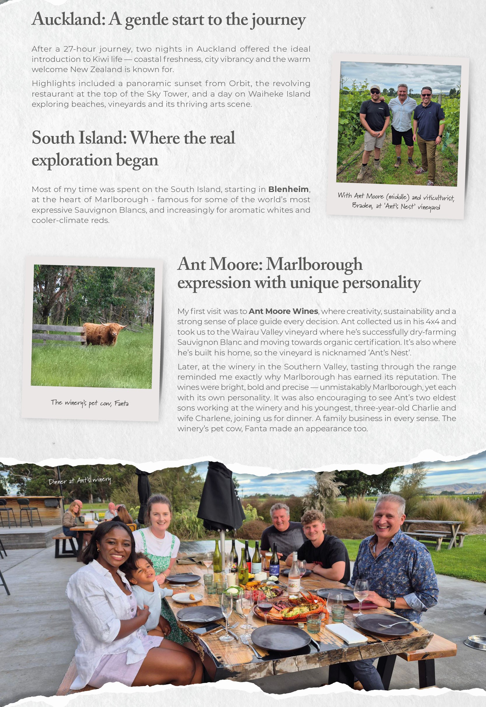 new_zealand_adventure_2
