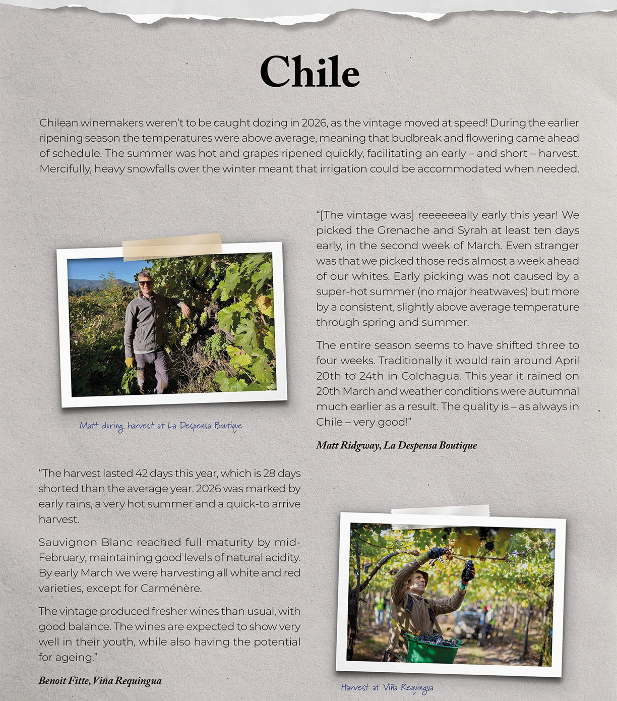 harvest_report_2026_3